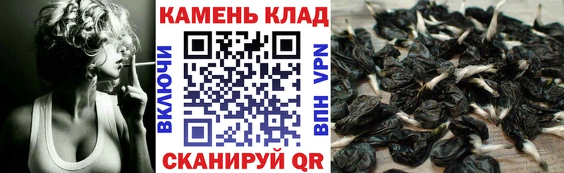ОМГ ОМГ ТОР  Красноуральск  ГАШИШ убойный 