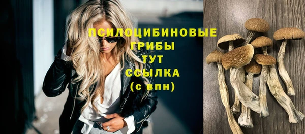 спайс Алексин