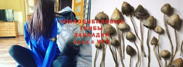 спайс Алексин