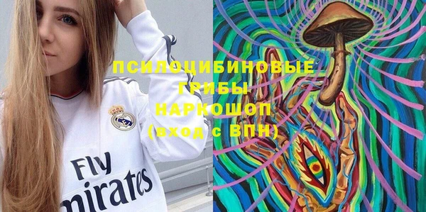 гидра Алзамай
